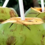 Água de coco: a escolha ideal para hidratação pós-treino