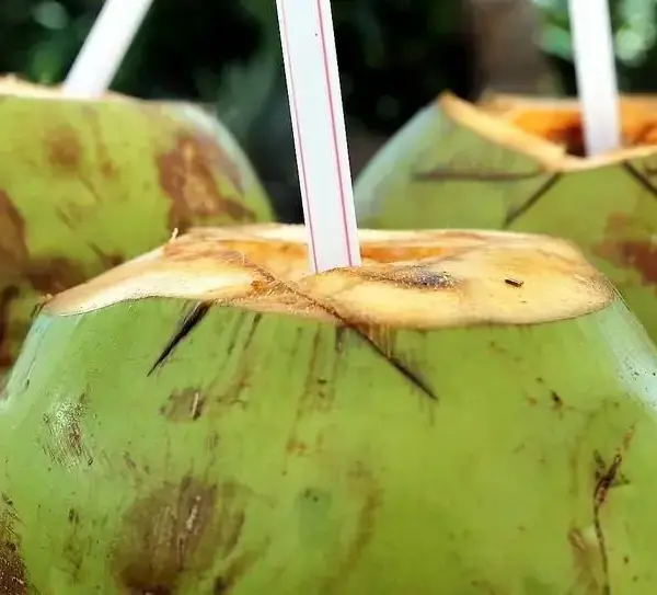 Água de coco: a escolha ideal para hidratação pós-treino