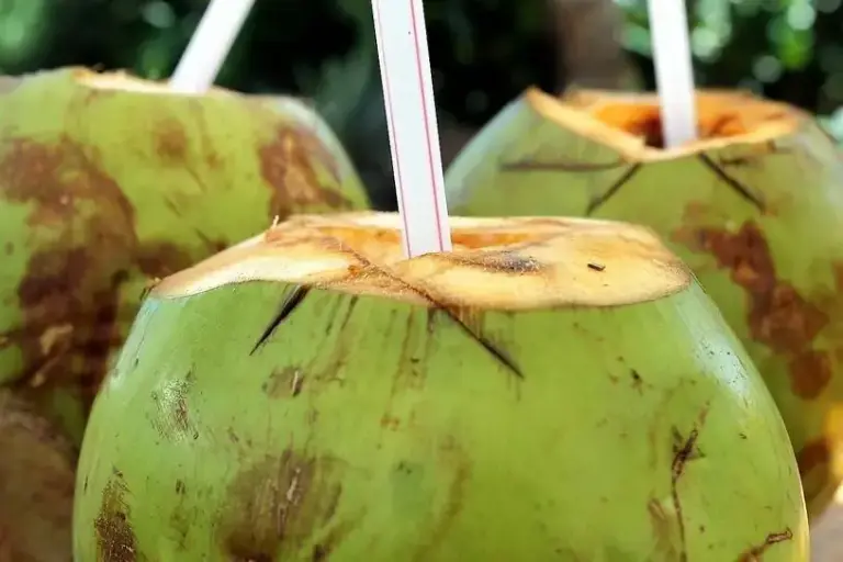 Água de coco: a escolha ideal para hidratação pós-treino
