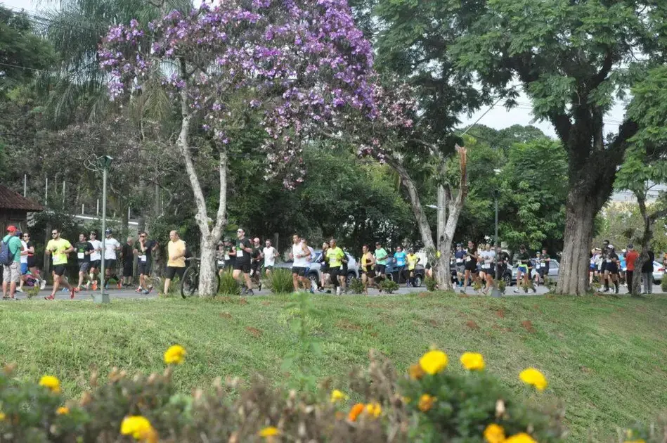 Corrida AADV: Últimos Preparativos para o Grande Evento em Poços