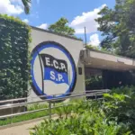 Oportunidades no Mercado Esportivo: Além da Paixão pelo Esporte