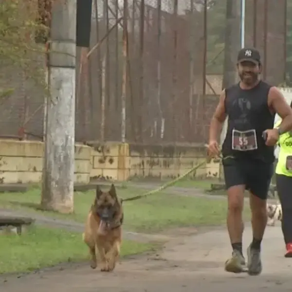 Canicross em Mogi das Cruzes reúne tutores e cães em corrida na cidade