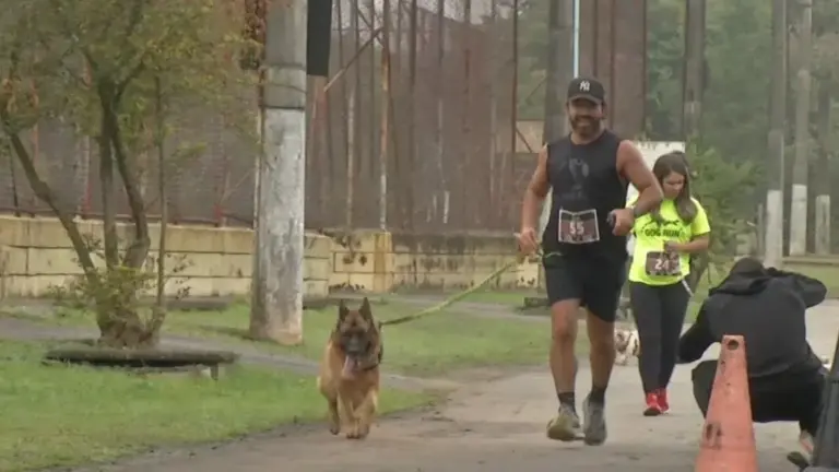 Canicross em Mogi das Cruzes reúne tutores e cães em corrida na cidade