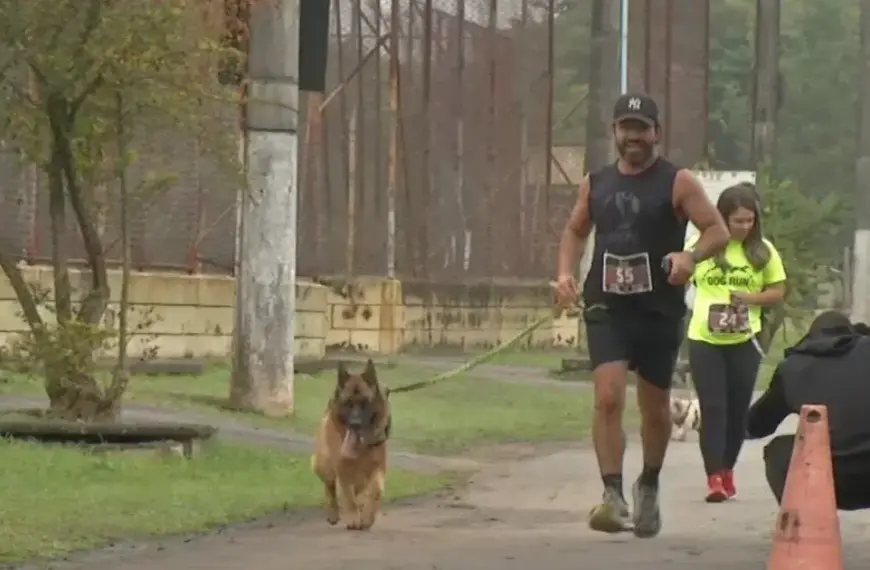 Canicross em Mogi das Cruzes reúne tutores e cães em corrida na cidade