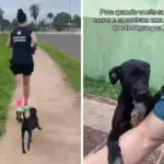 Vira-lata segue casal por 7 km durante corrida e é adotada pela família