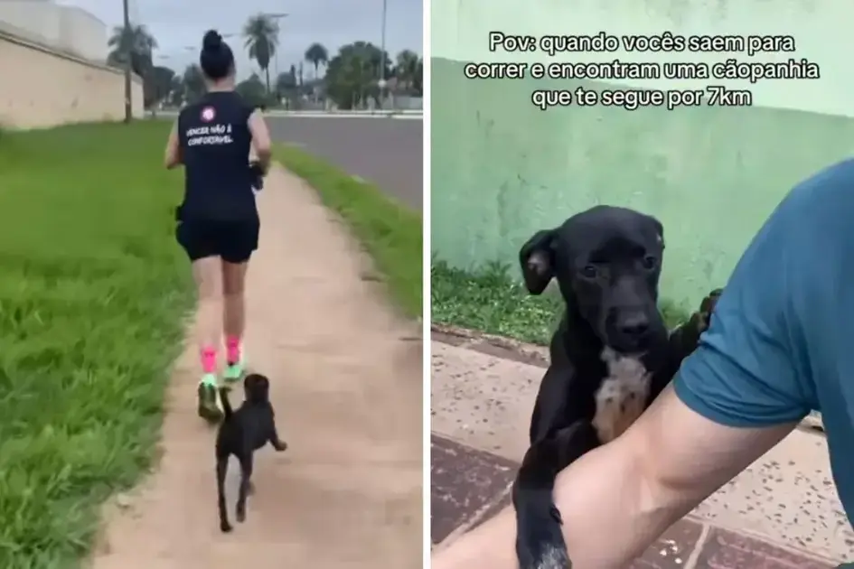 Vira-lata segue casal por 7 km durante corrida e é adotada pela família