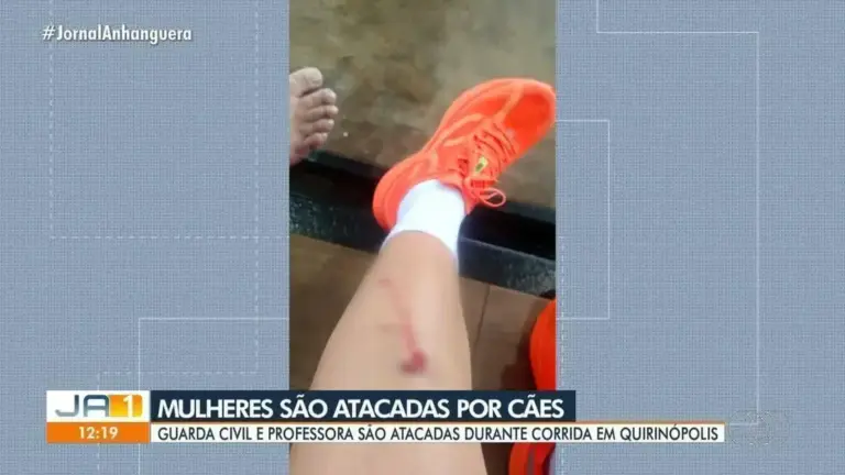 Ataque de cães interrompe corrida em Quirinópolis e fere duas mulheres