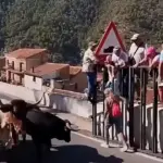 Mulher de 64 anos morre atingida por touro durante corrida em Ayna