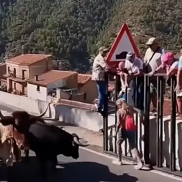 Mulher de 64 anos morre atingida por touro durante corrida&hellip;