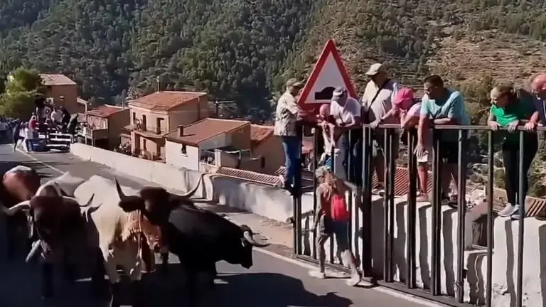 Mulher de 64 anos morre atingida por touro durante corrida em Ayna