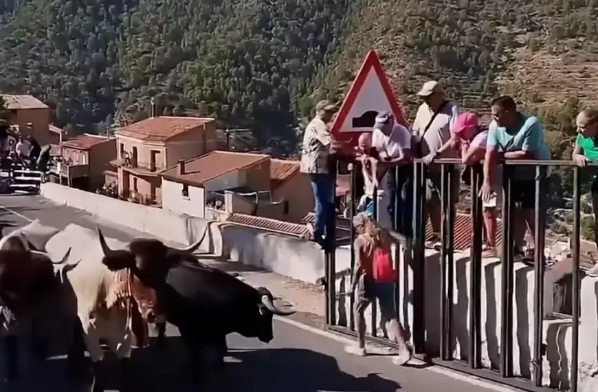 Mulher de 64 anos morre atingida por touro durante corrida em Ayna